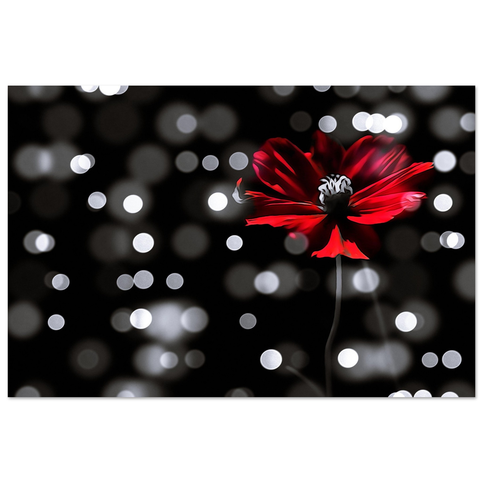 Tableau cosmos Auvergne décor mural aluminium Tableau cosmos Auvergne décor mural aluminium