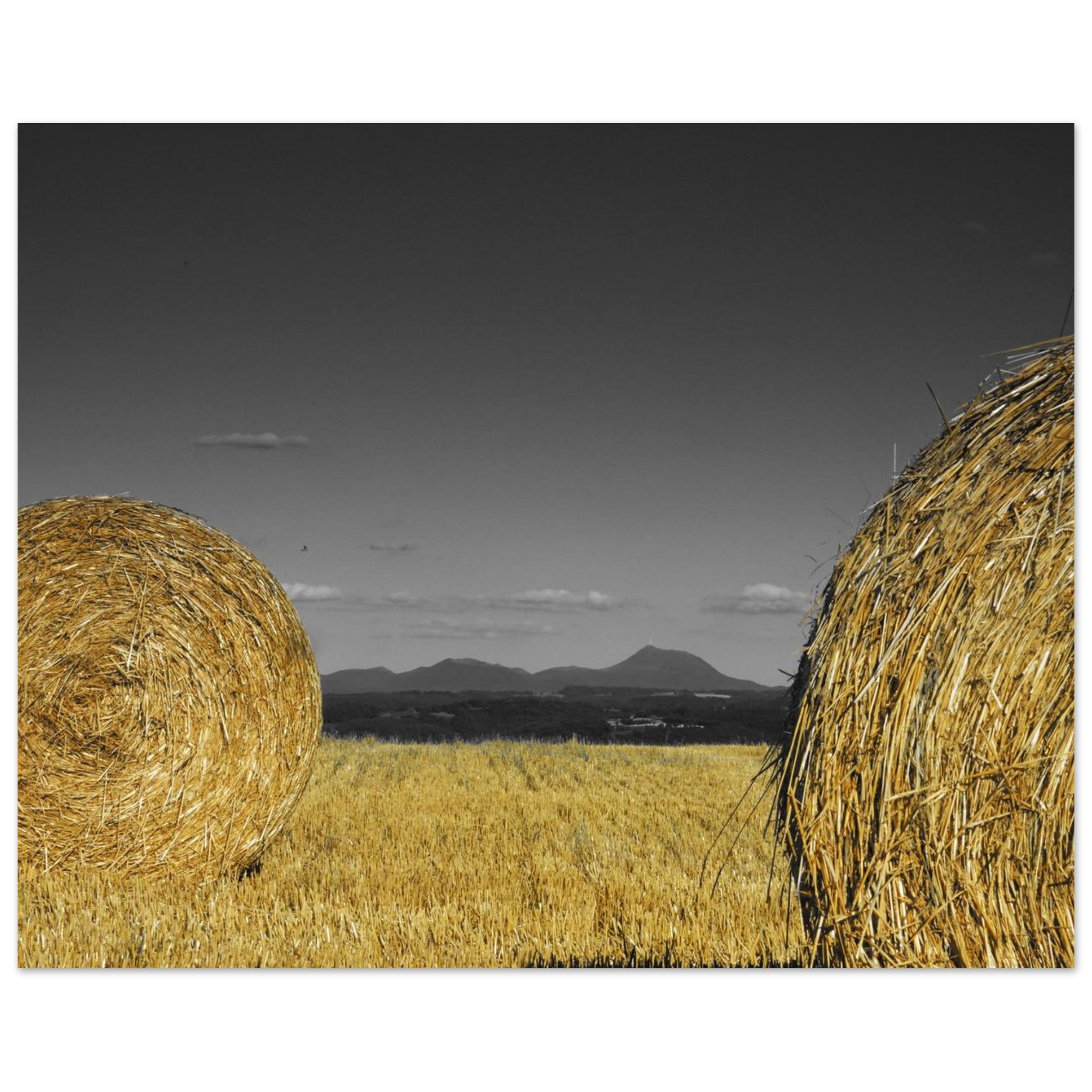 Terres entre or et cendres tableau aluminium déco murale Terres entre or et cendres tableau aluminium déco murale