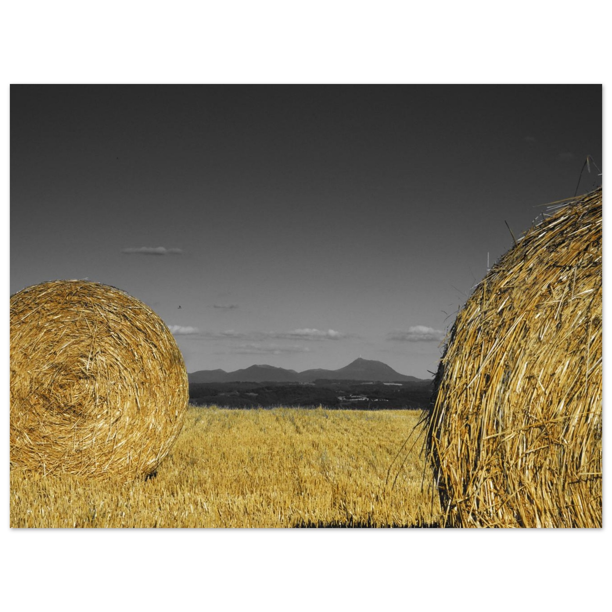 Terres entre or et cendres tableau aluminium déco murale Terres entre or et cendres tableau aluminium déco murale