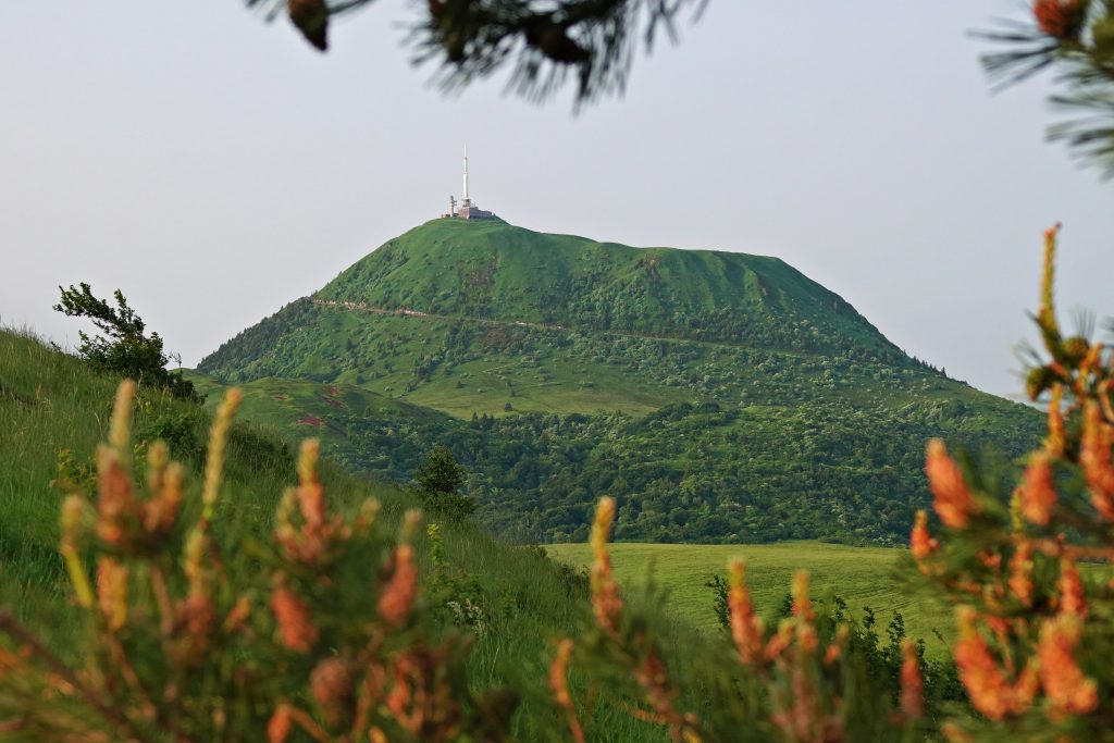 Le puy de Dôme vu à travers les pins, photographie de Fabrice Courtadon