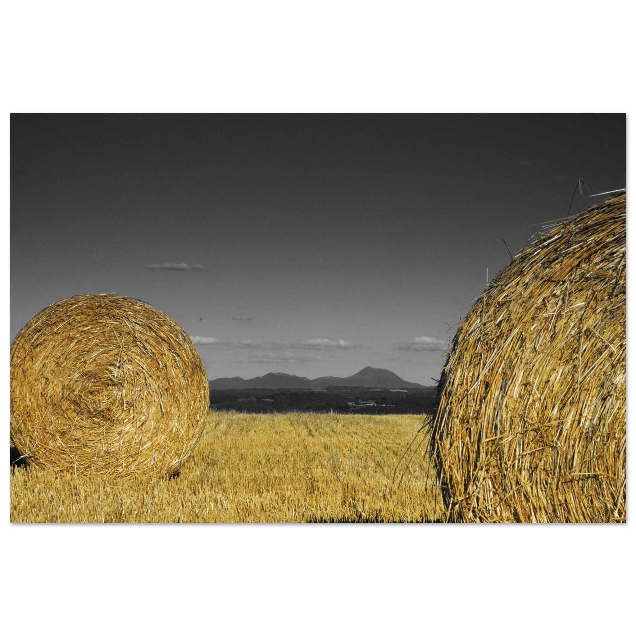 Terres entre or et cendres tableau aluminium déco murale Terres entre or et cendres tableau aluminium déco murale