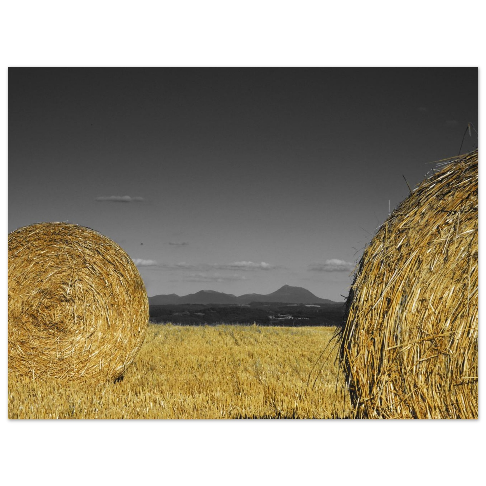 Terres entre or et cendres tableau aluminium déco murale Terres entre or et cendres tableau aluminium déco murale