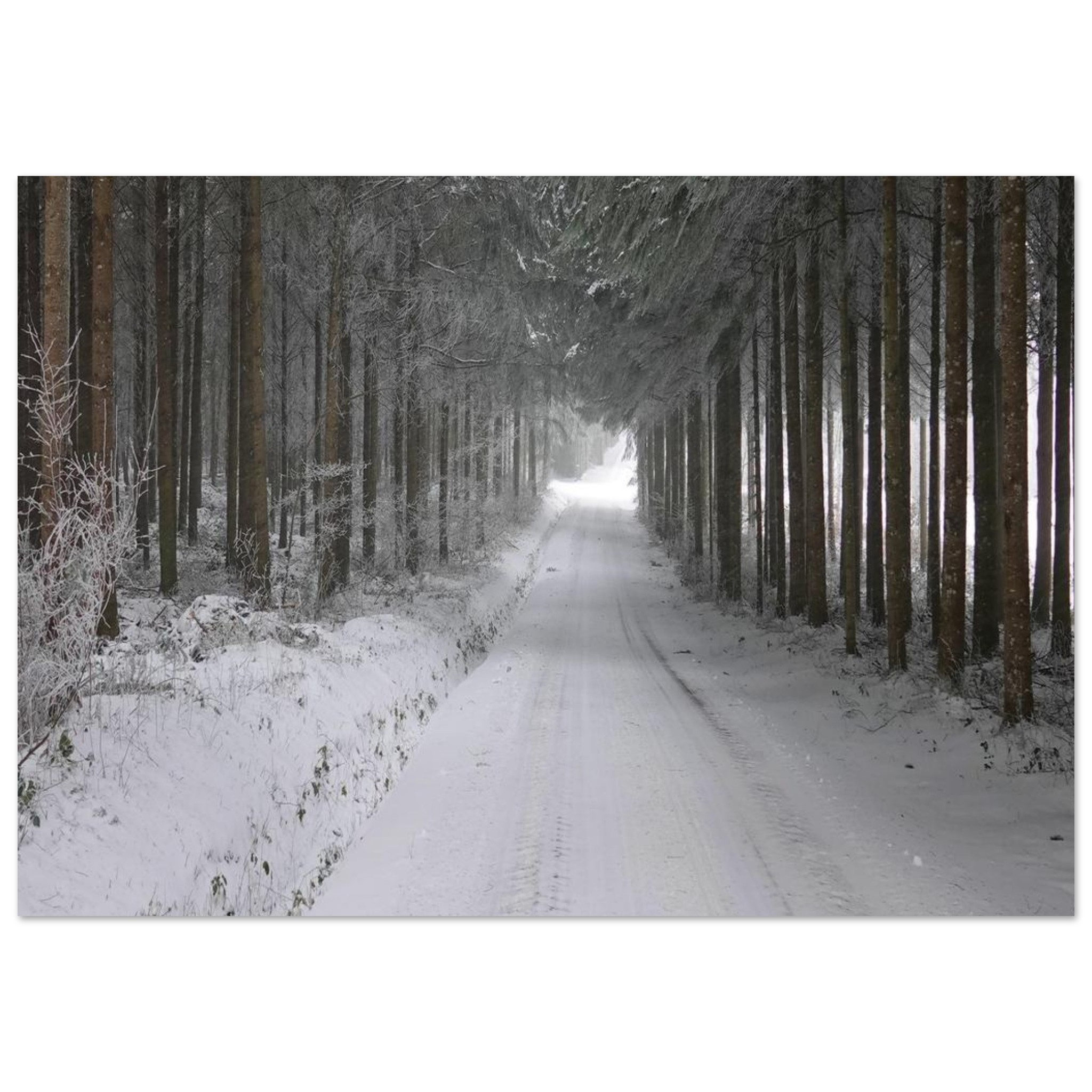 L’habit d’hiver tableau aluminium décor mural Auvergne L’habit d’hiver tableau aluminium décor mural Auvergne