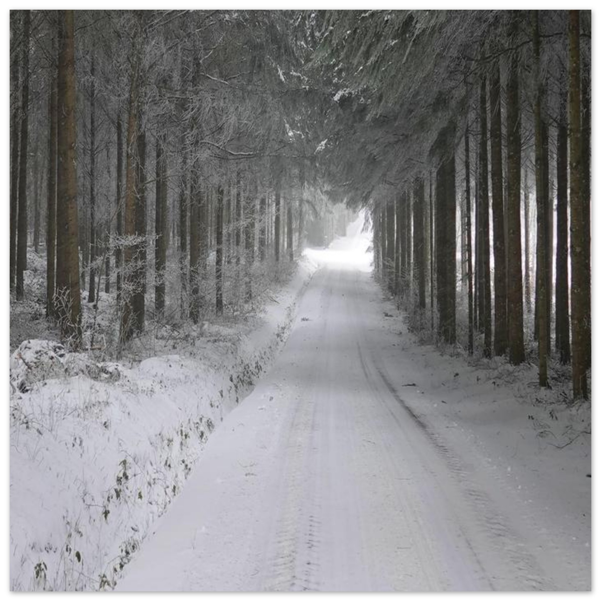 L’habit d’hiver tableau aluminium décor mural Auvergne L’habit d’hiver tableau aluminium décor mural Auvergne