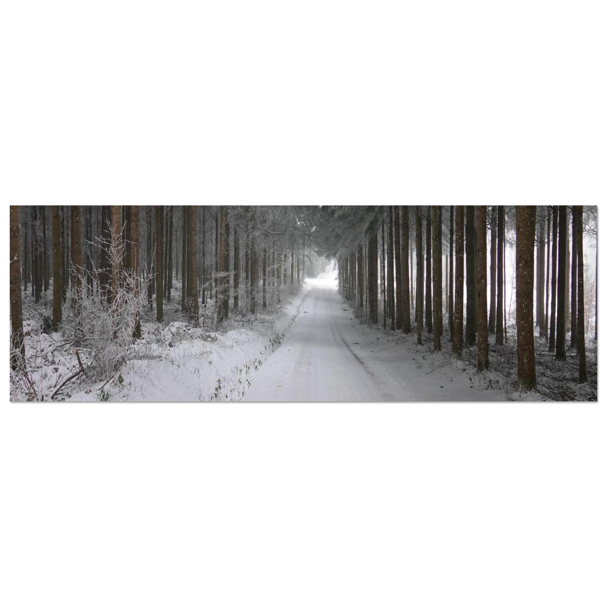 L’habit d’hiver tableau aluminium décor mural Auvergne L’habit d’hiver tableau aluminium décor mural Auvergne