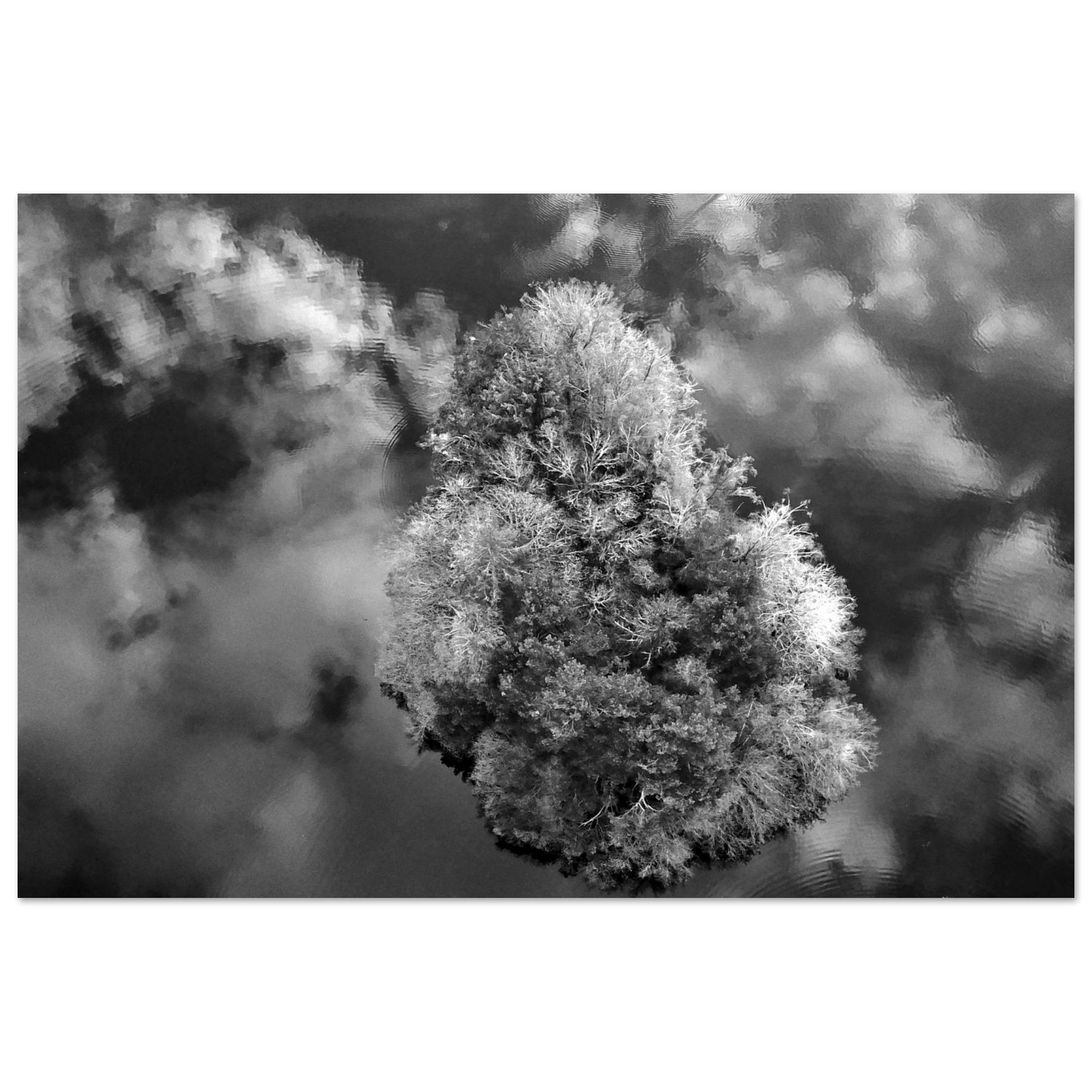 Tableau aluminium Puy de Dôme étang Thyx décor mural Tableau aluminium Puy de Dôme étang Thyx décor mural