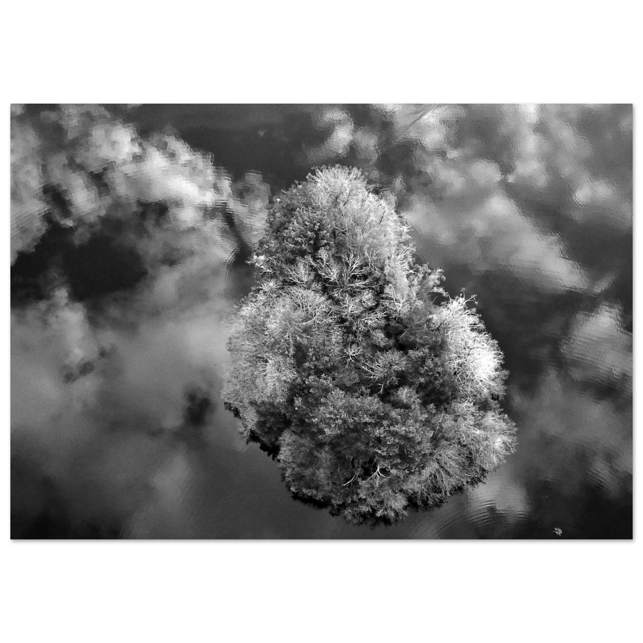 Tableau aluminium Puy de Dôme étang Thyx décor mural Tableau aluminium Puy de Dôme étang Thyx décor mural