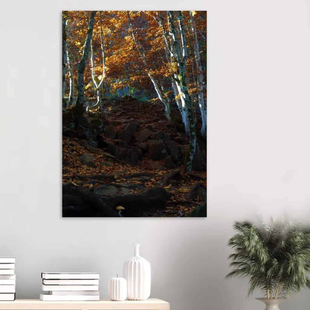Photographie de nature en Auvergne par Fabrice Courtadon, imprimée sur aluminium