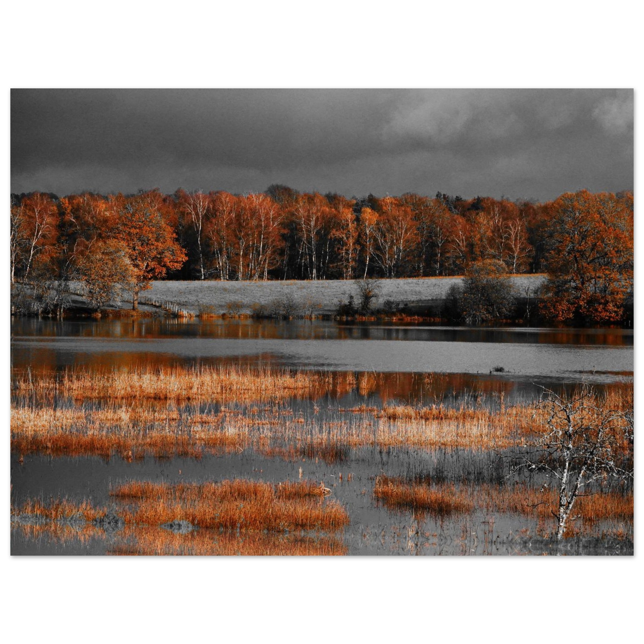 Quand l’orange dévore le silence étang Ramade tableau aluminium déco murale Quand l’orange dévore le silence étang Ramade tableau aluminium déco murale