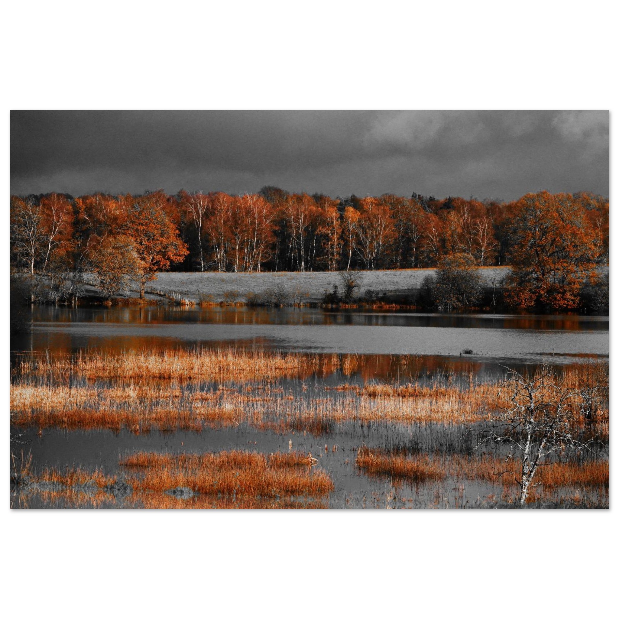 Quand l’orange dévore le silence étang Ramade tableau aluminium déco murale Quand l’orange dévore le silence étang Ramade tableau aluminium déco murale