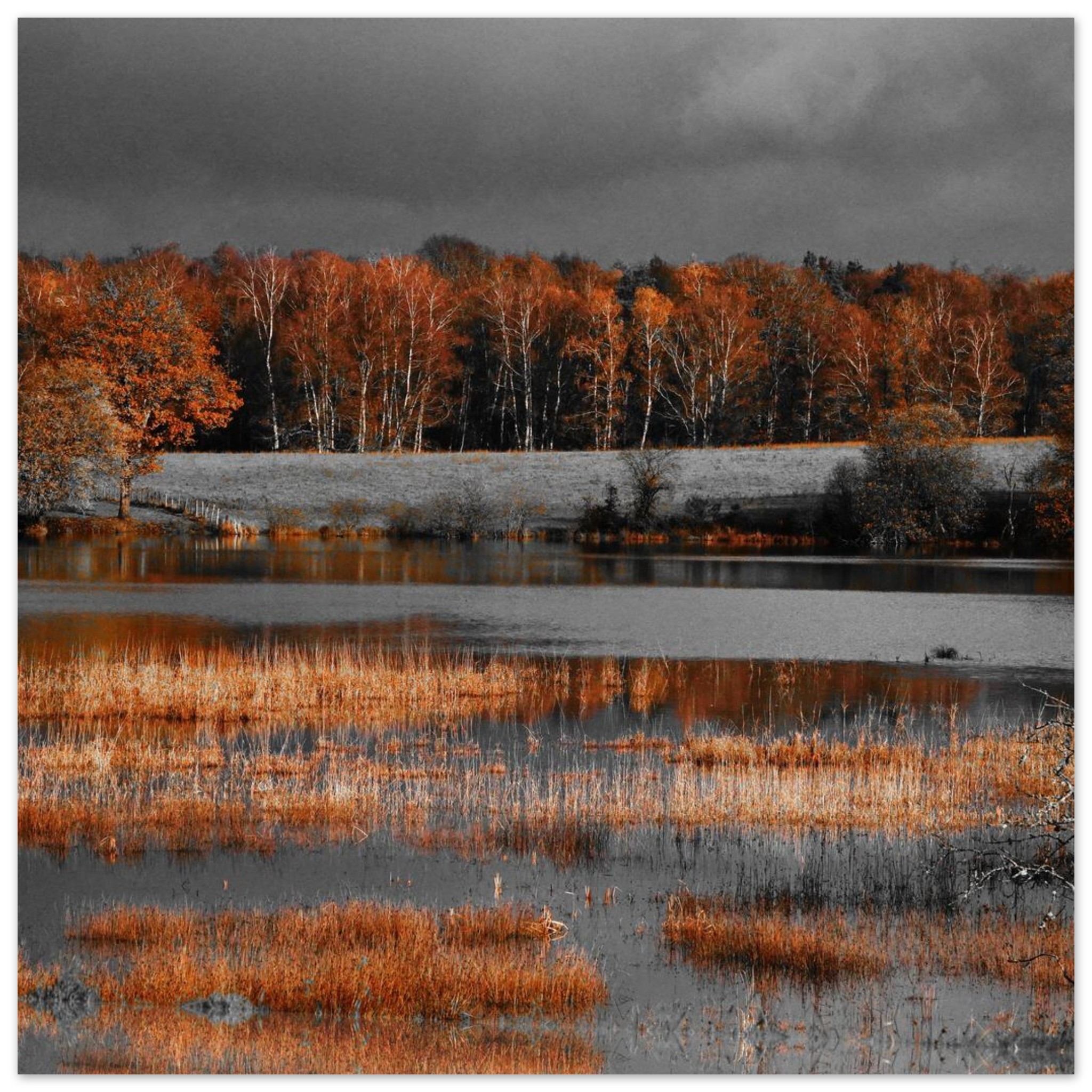 Quand l’orange dévore le silence étang Ramade tableau aluminium déco murale Quand l’orange dévore le silence étang Ramade tableau aluminium déco murale