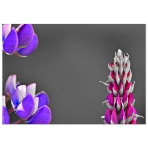 L&rsquo;âme en équilibre tableau aluminium déco murale