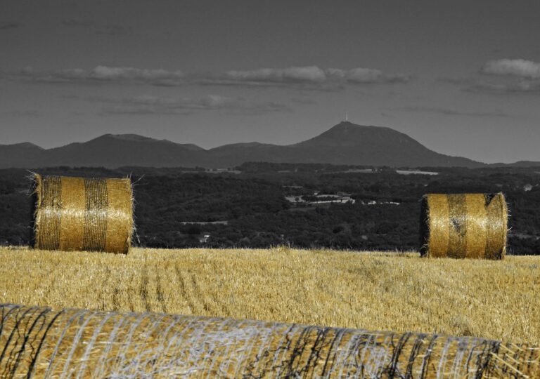 Le Puy de Dôme et le Pariou sous les couleurs de l’été : un paysage UNESCO entre nature et patrimoine