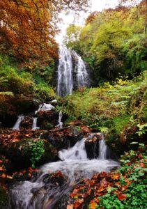 Tableau cascade et torrent d’automne en Auvergne