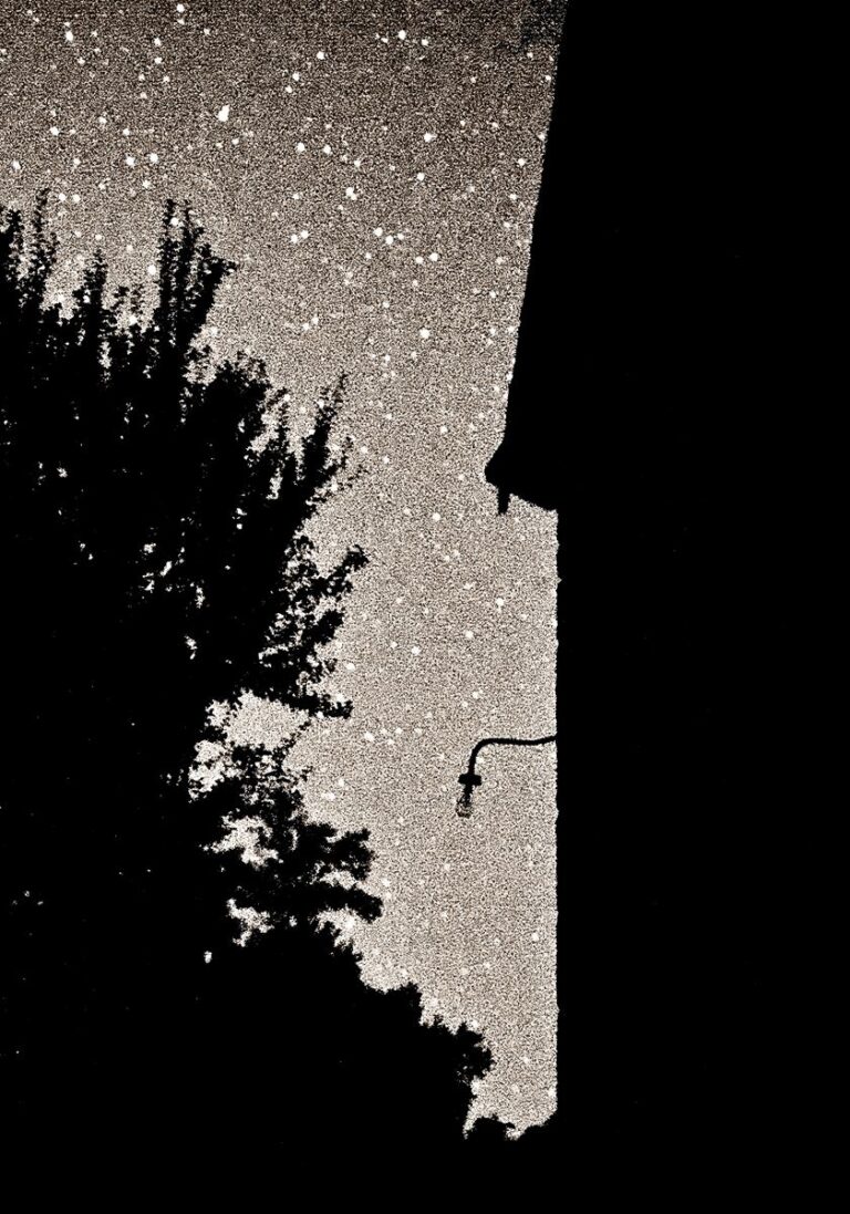 La ferme de mon enfance : les étoiles d&rsquo;une époque qui ne reviendra pas
