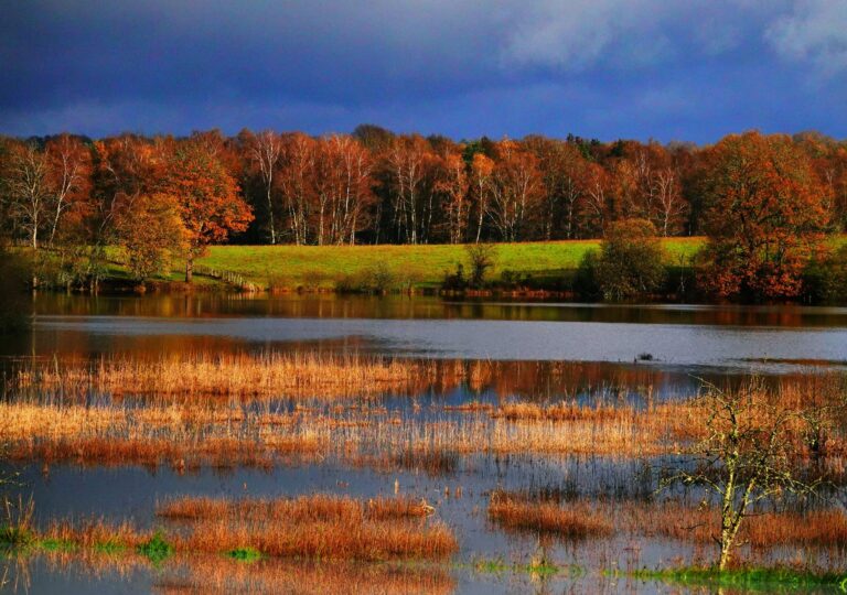 Quand les couleurs de l&rsquo;automne réveillent les plus belles synchronicités