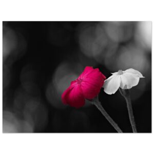 d4a1b828-b221-464e-8ec2-fd316f518bc9