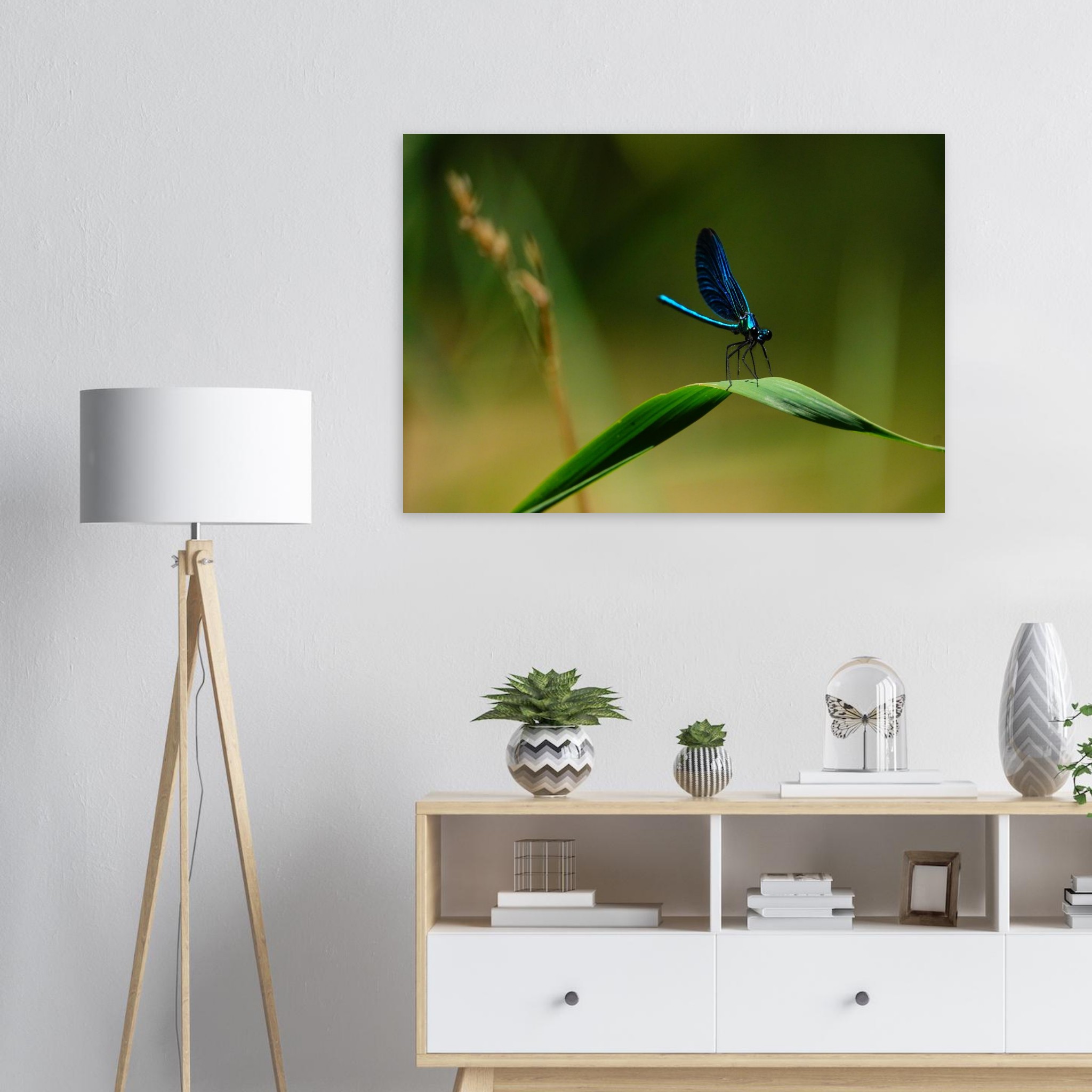 La demoiselle des eaux La demoiselle des eaux