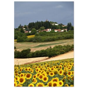 Au cœur des saisons – Tableau tournesols aluminium Au cœur des saisons – Tableau tournesols aluminium
