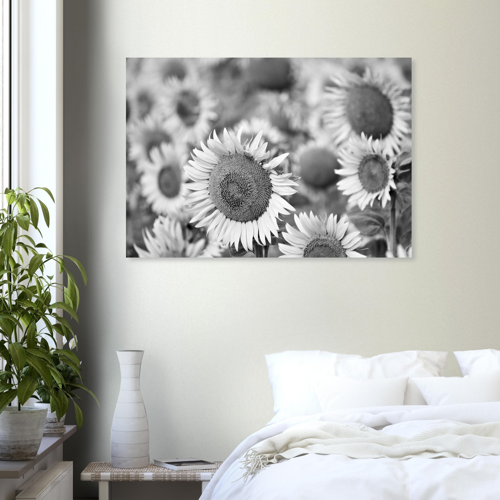 La Terre a de l’allure – Tableau tournesols noir et blanc La Terre a de l’allure – Tableau tournesols noir et blanc