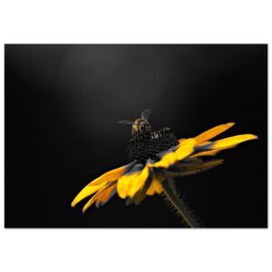 Le jour où les fleurs n’auront plus personne à attendre – Tableau abeille et fleur jaune Le jour où les fleurs n’auront plus personne à attendre – Tableau abeille et fleur jaune