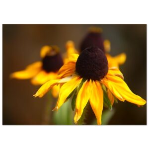 Le luxe de l’inattendu – Tableau fleur jaune aluminium Le luxe de l’inattendu – Tableau fleur jaune aluminium