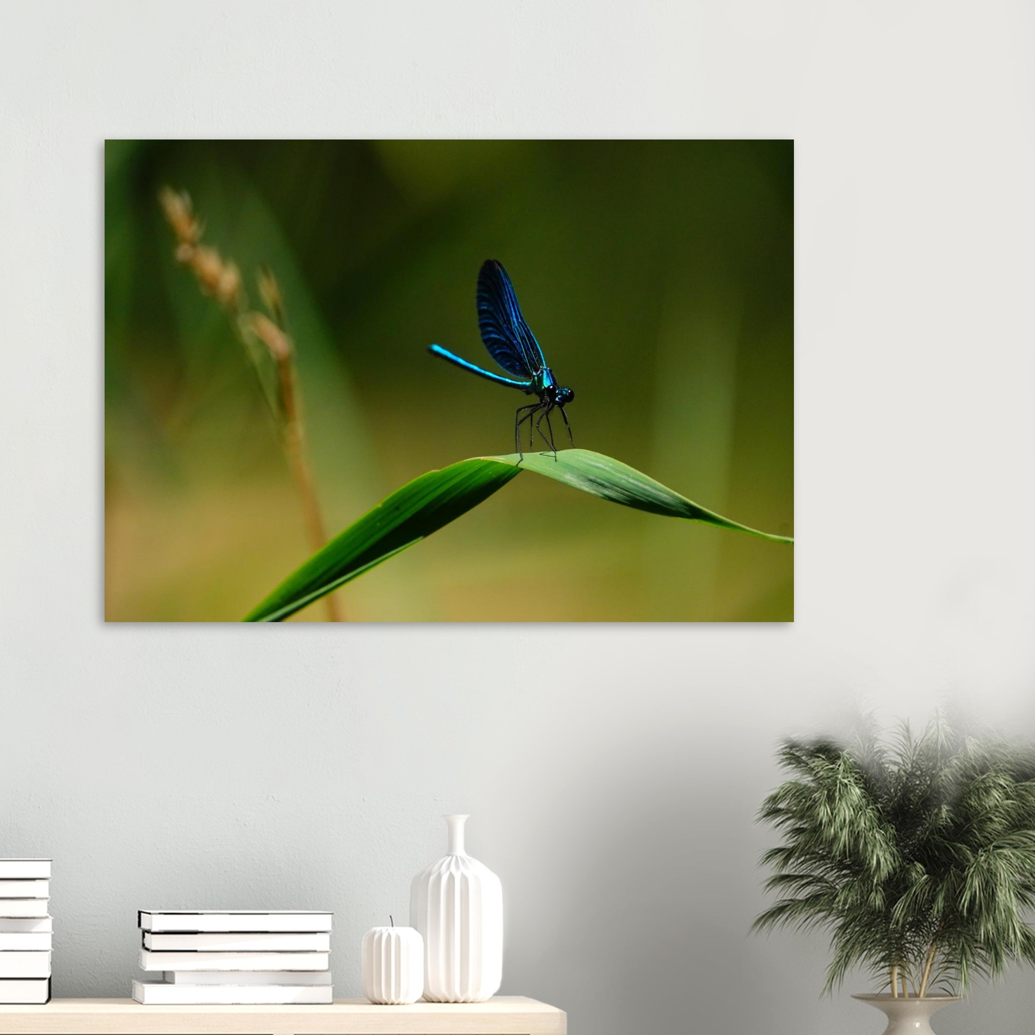 La demoiselle des eaux La demoiselle des eaux