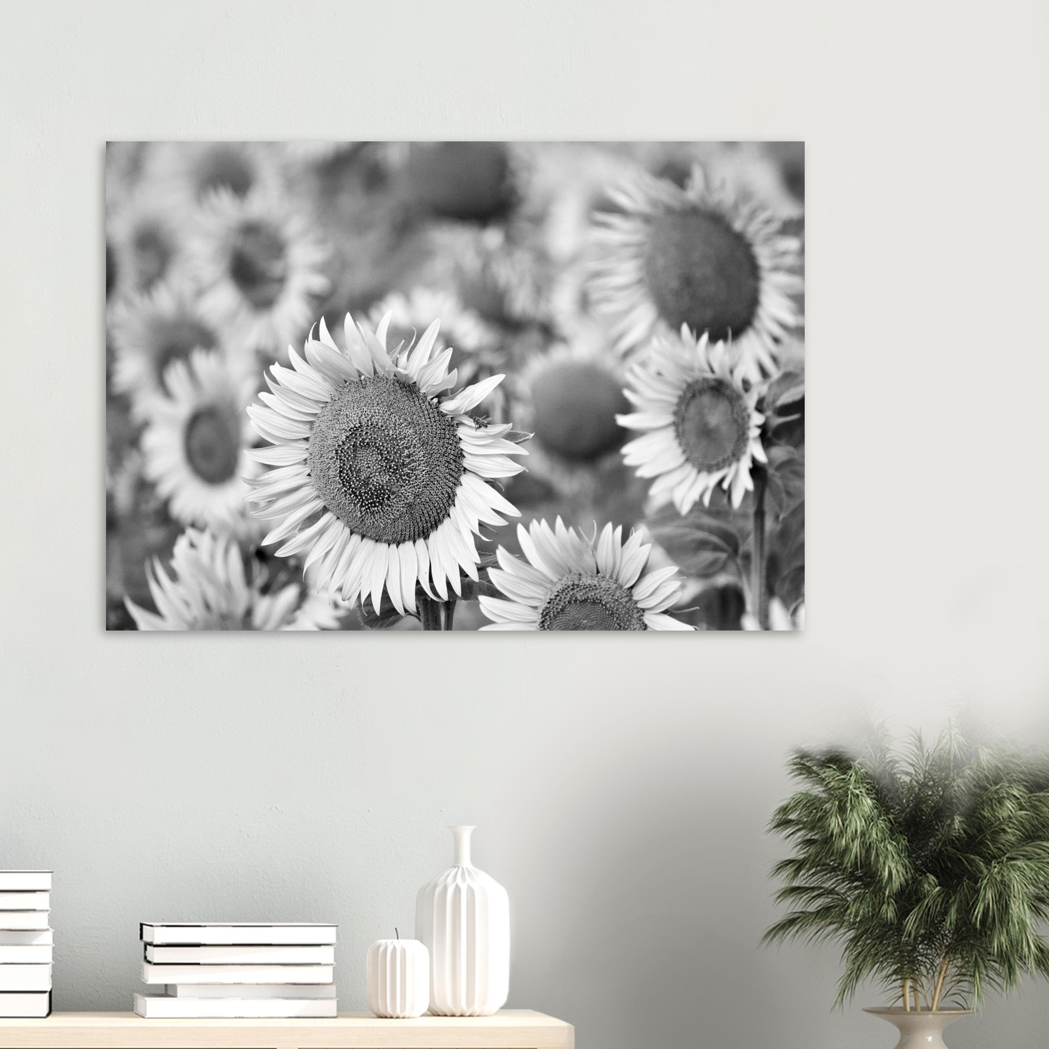 La Terre a de l’allure – Tableau tournesols noir et blanc La Terre a de l’allure – Tableau tournesols noir et blanc