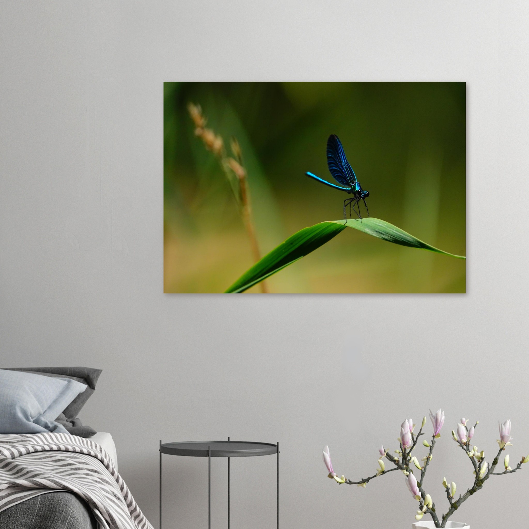 La demoiselle des eaux La demoiselle des eaux