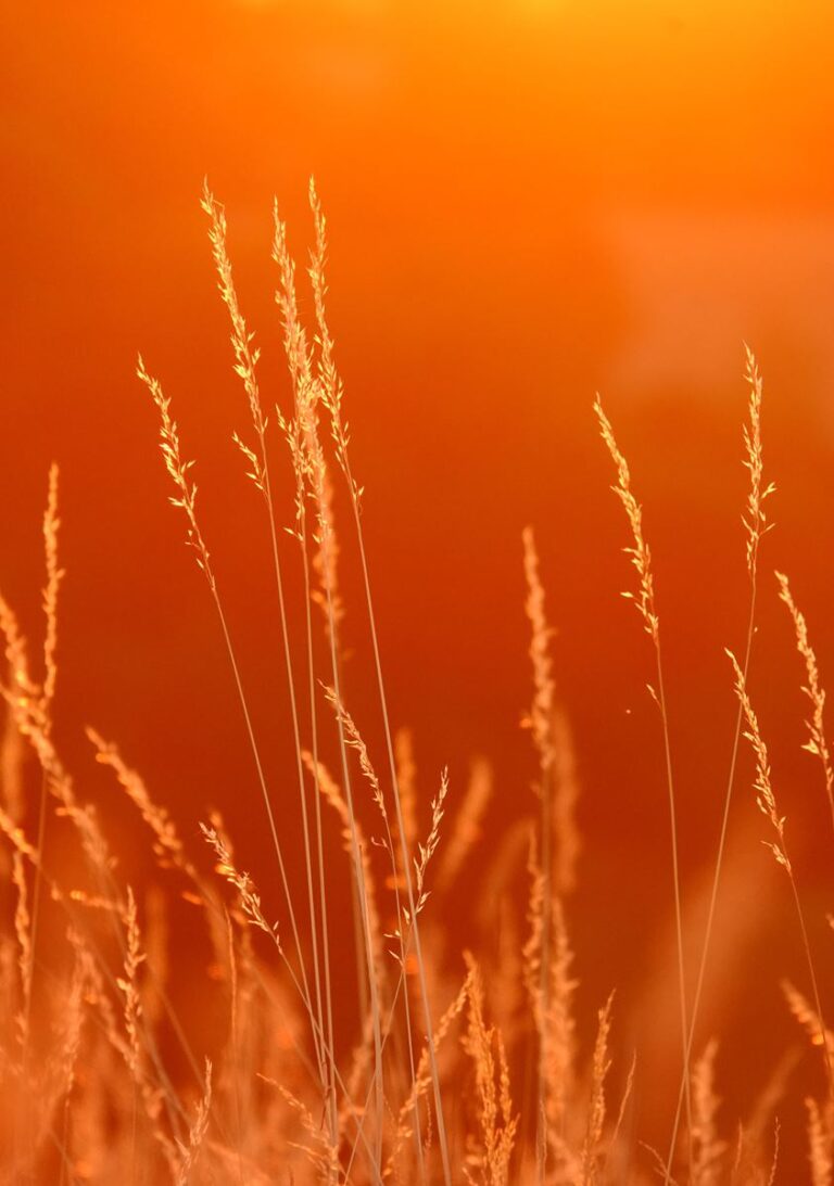 Cette couleur n&rsquo;existe nulle part dans l&rsquo;univers : pourtant nous la voyons tous les jours