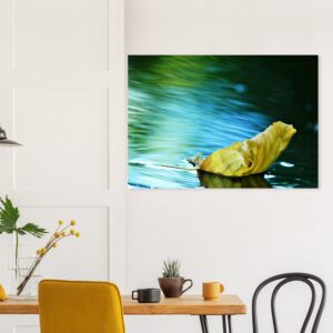 Pendant ce temps dans les cours d’eau – Tableau feuille flottante sur aluminium Pendant ce temps dans les cours d’eau – Tableau feuille flottante sur aluminium