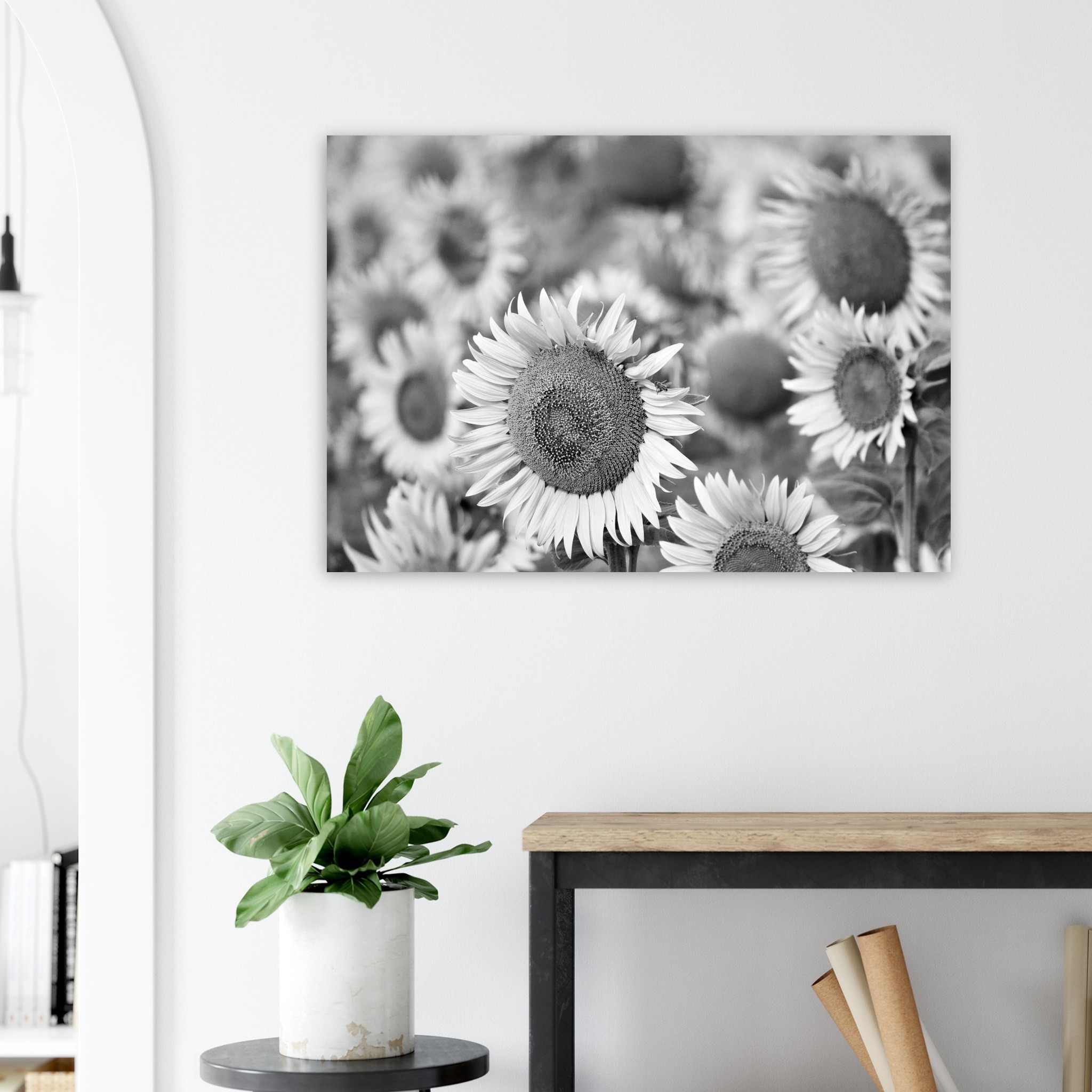 La Terre a de l’allure – Tableau tournesols noir et blanc La Terre a de l’allure – Tableau tournesols noir et blanc