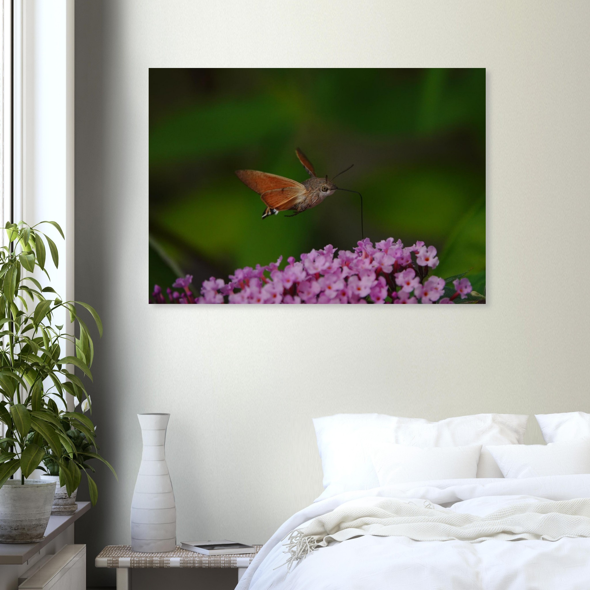 Photo en Auvergne / Tableau métal aluminium / Il a tout d’un oiseau, sauf les plumes Photo en Auvergne / Tableau métal aluminium / Il a tout d’un oiseau, sauf les plumes