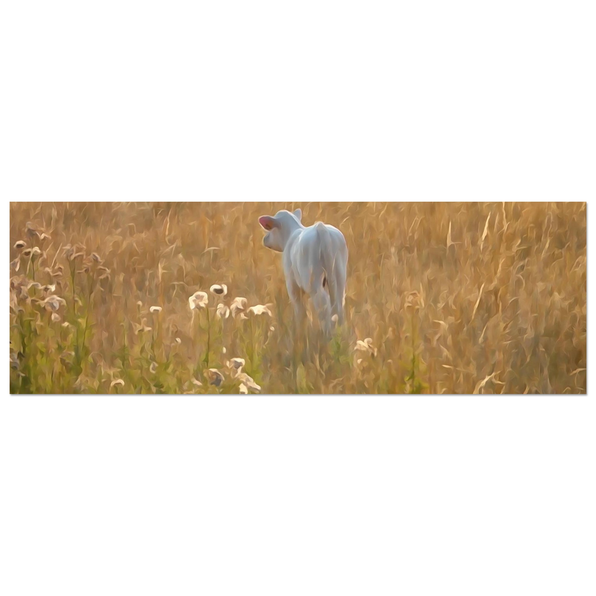 Une vie qui commence au coeur de l’été – Tableau veau aquarelle aluminium Une vie qui commence au coeur de l’été – Tableau veau aquarelle aluminium