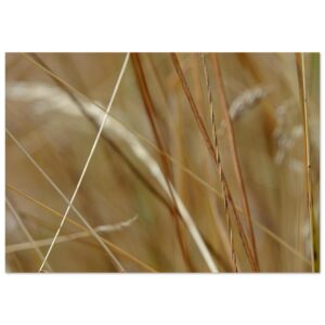 Nature graphique Nature graphique