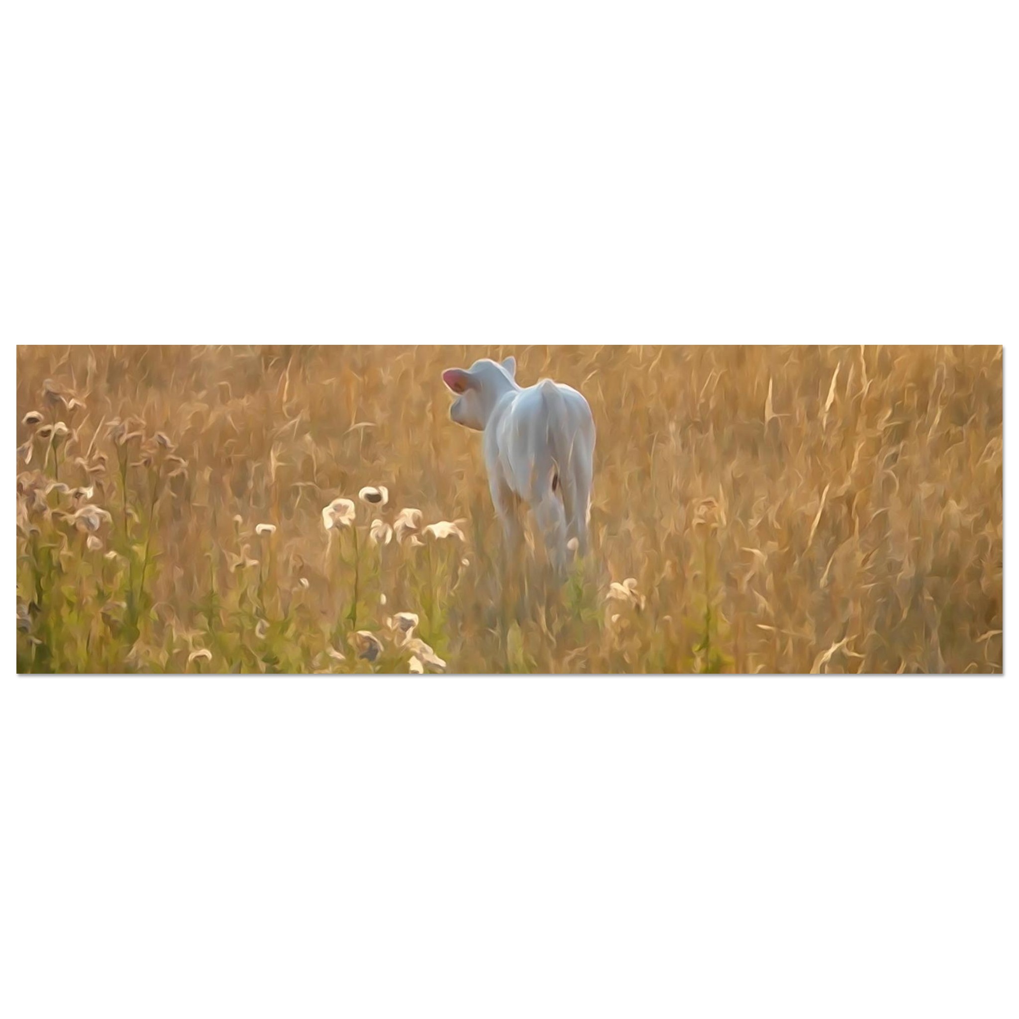 Une vie qui commence au coeur de l’été – Tableau veau aquarelle aluminium Une vie qui commence au coeur de l’été – Tableau veau aquarelle aluminium