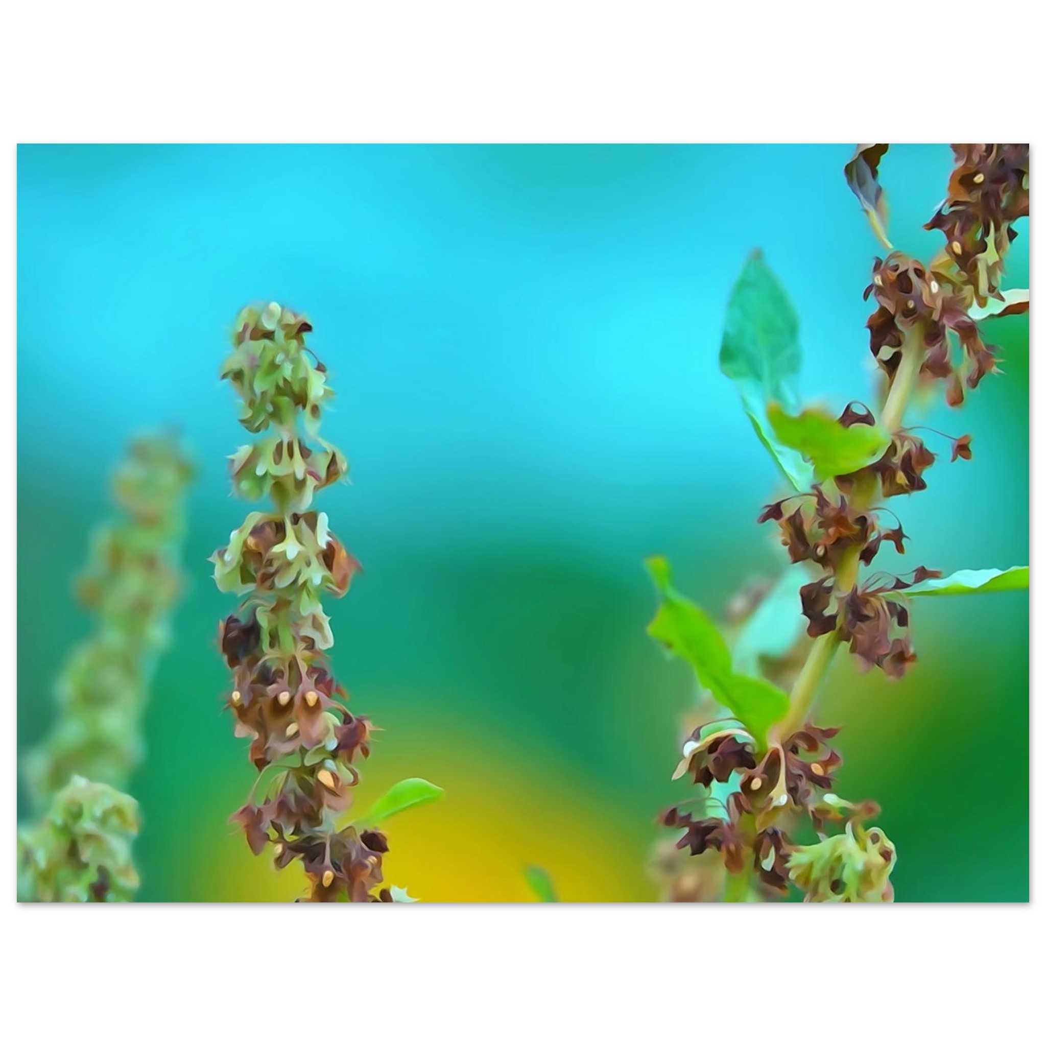 Cette image trompe l’œil, la nature ne trompe personne Cette image trompe l’œil, la nature ne trompe personne