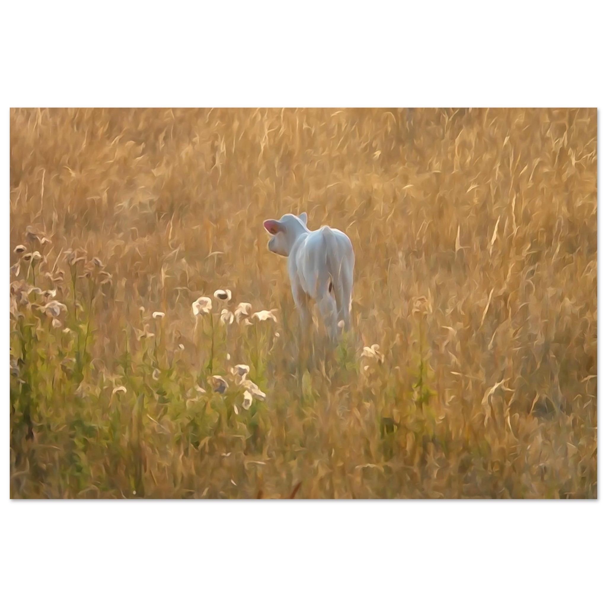 Une vie qui commence au coeur de l’été – Tableau veau aquarelle aluminium Une vie qui commence au coeur de l’été – Tableau veau aquarelle aluminium