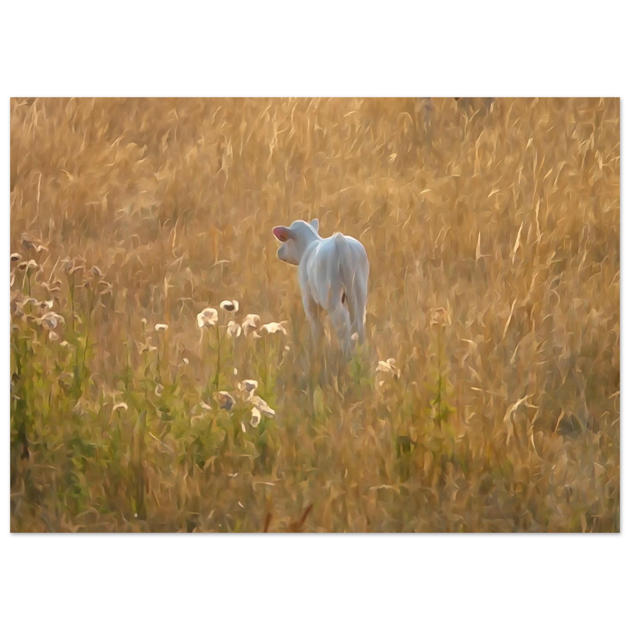 Une vie qui commence au coeur de l’été – Tableau veau aquarelle aluminium Une vie qui commence au coeur de l’été – Tableau veau aquarelle aluminium