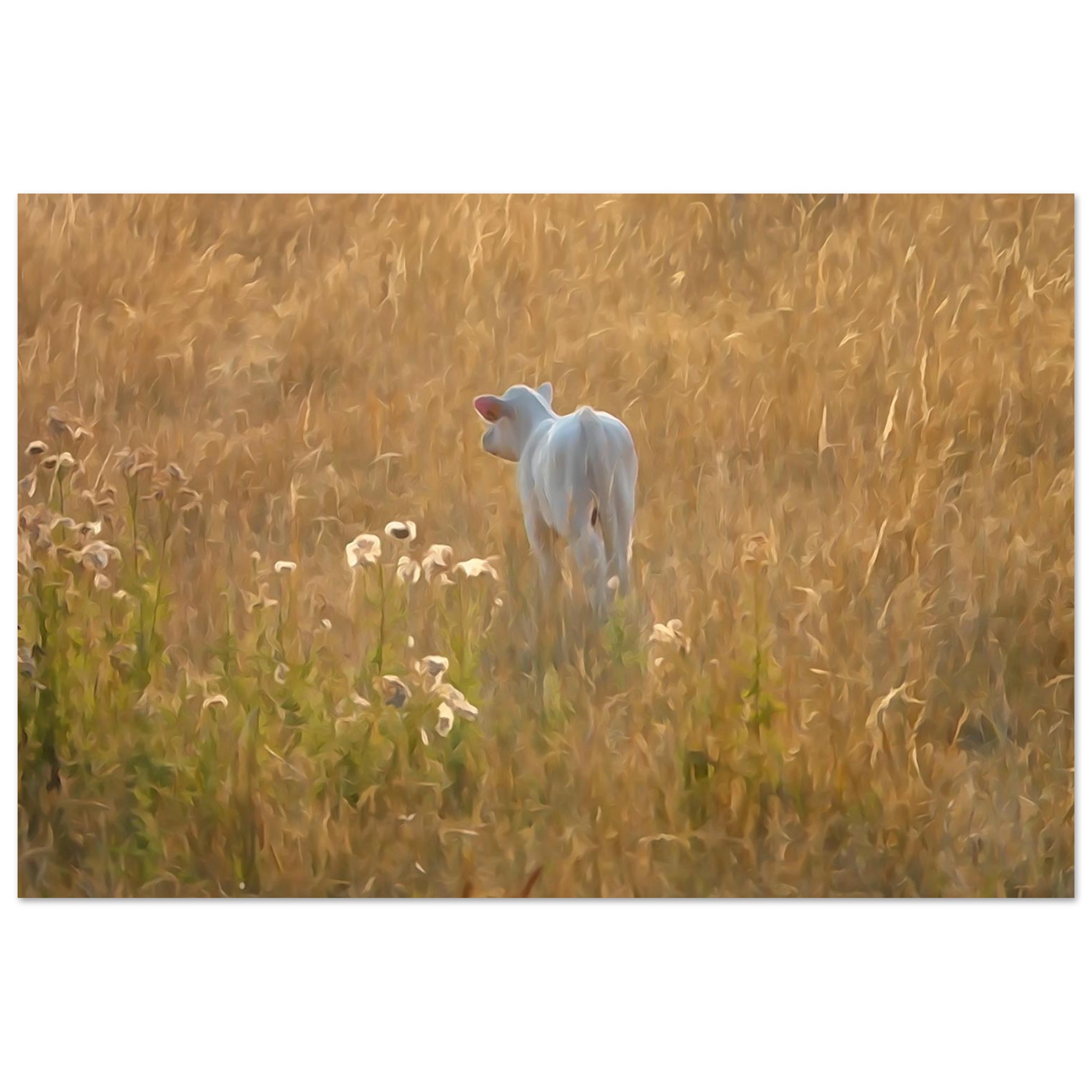 Une vie qui commence au coeur de l’été – Tableau veau aquarelle aluminium Une vie qui commence au coeur de l’été – Tableau veau aquarelle aluminium