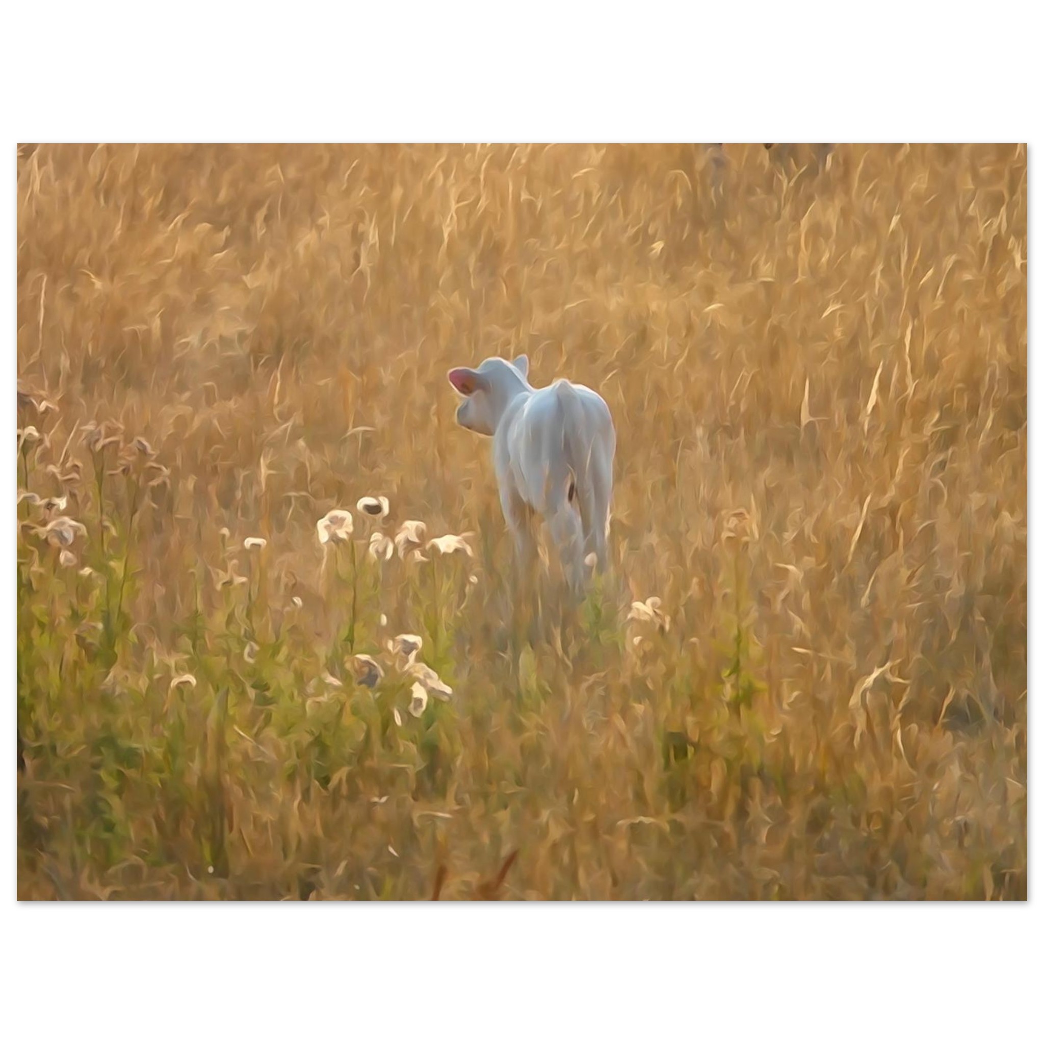 Une vie qui commence au coeur de l’été – Tableau veau aquarelle aluminium Une vie qui commence au coeur de l’été – Tableau veau aquarelle aluminium