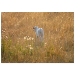 Une vie qui commence au coeur de l’été – Tableau veau aquarelle aluminium Une vie qui commence au coeur de l’été – Tableau veau aquarelle aluminium