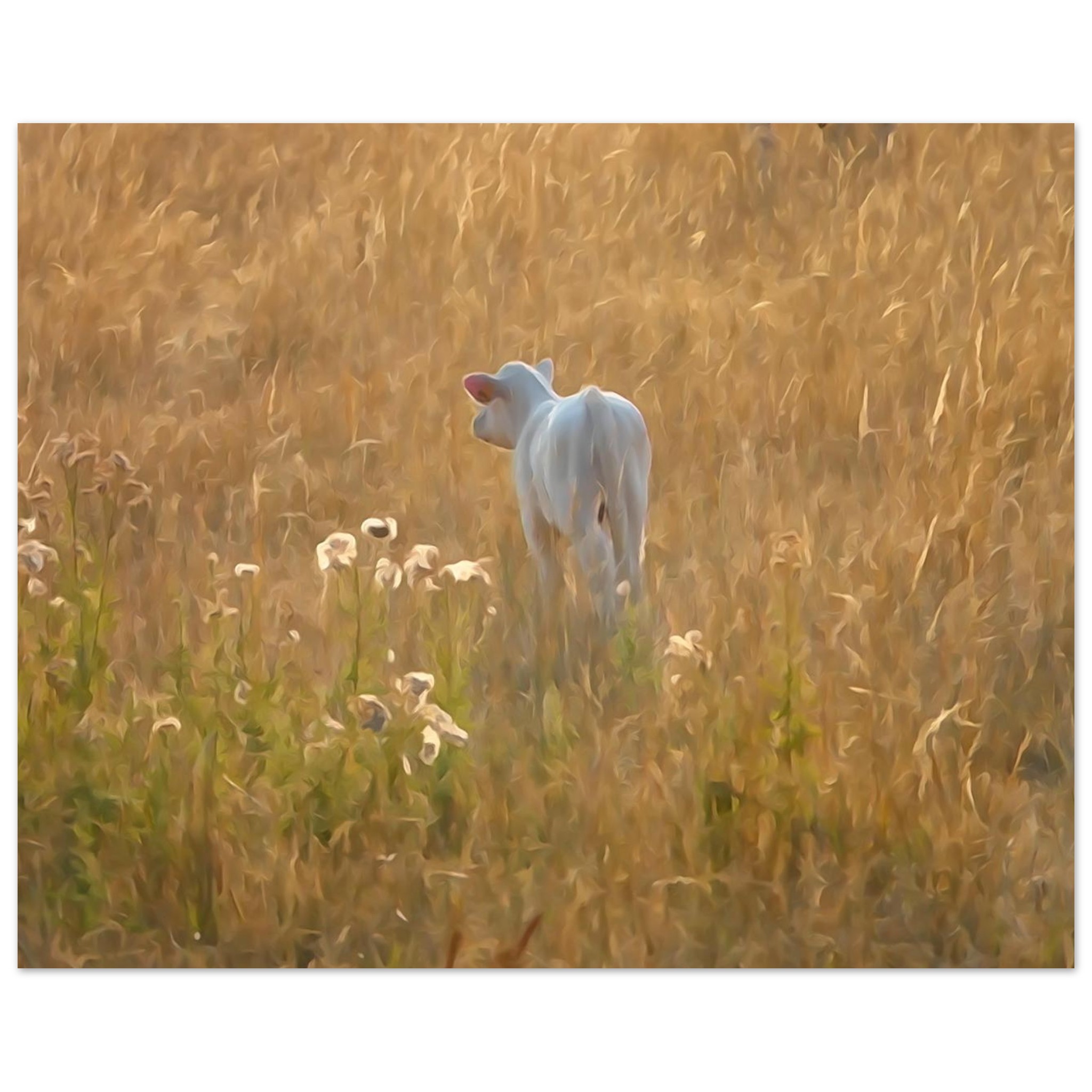 Une vie qui commence au coeur de l’été – Tableau veau aquarelle aluminium Une vie qui commence au coeur de l’été – Tableau veau aquarelle aluminium