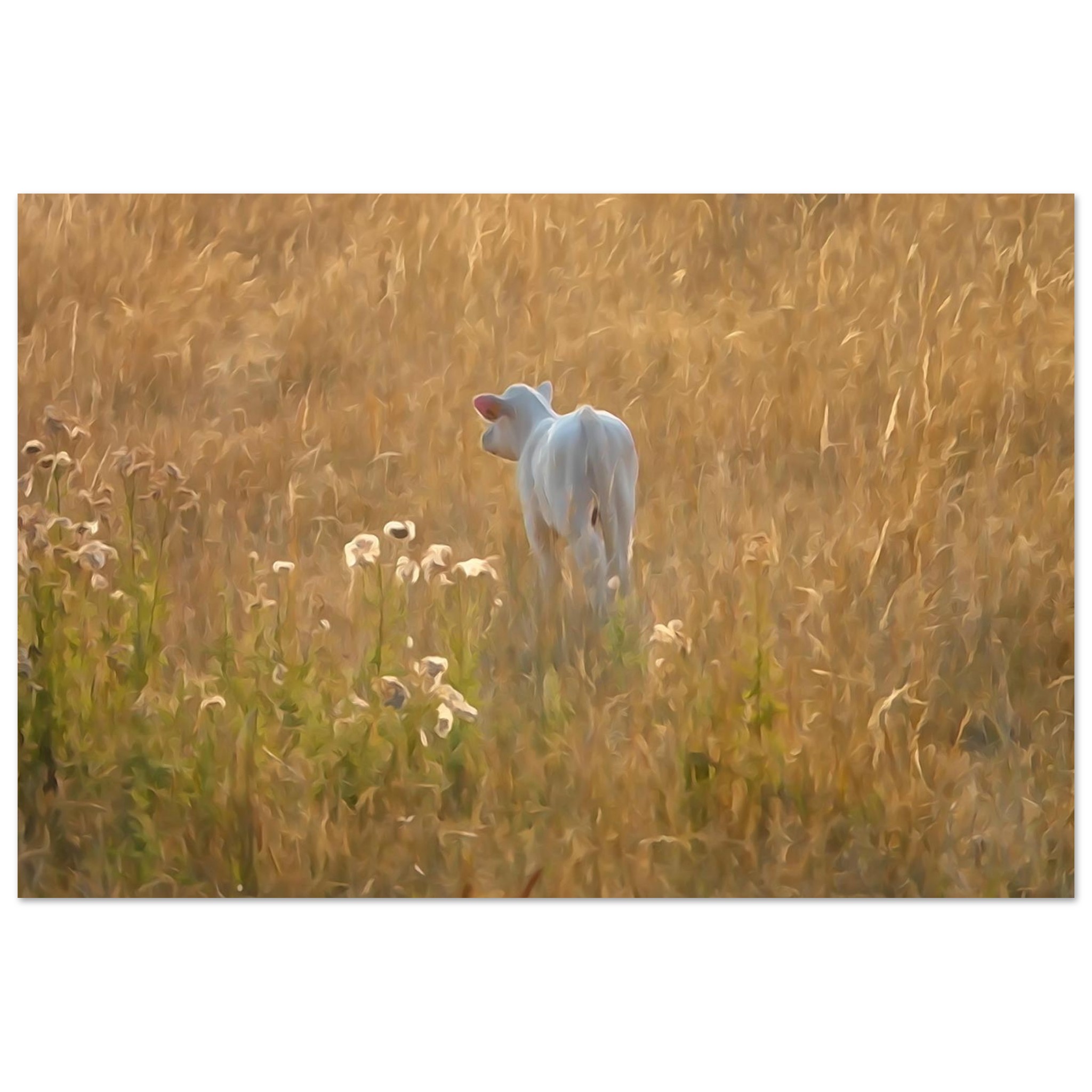 Une vie qui commence au coeur de l’été – Tableau veau aquarelle aluminium Une vie qui commence au coeur de l’été – Tableau veau aquarelle aluminium