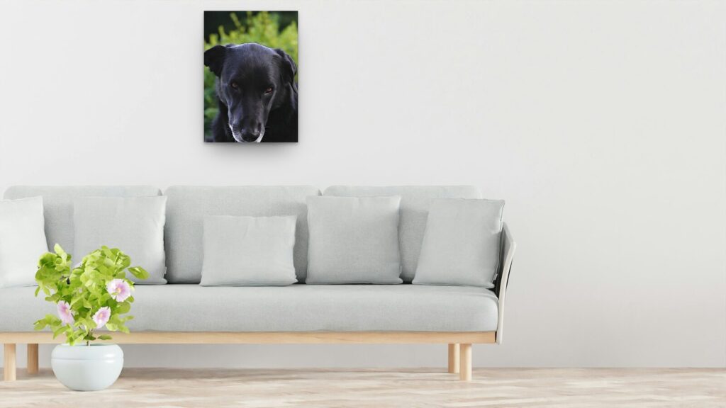 La douceur de Pepper, tableau portrait de chien noir La douceur de Pepper, tableau portrait de chien noir
