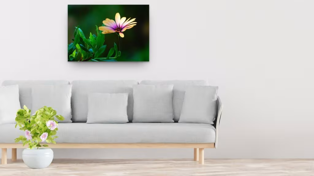 Elle a le sens du cadrage, tableau sur aluminium 100 × 70 cm au-dessus d’un canapé (mise en situation)