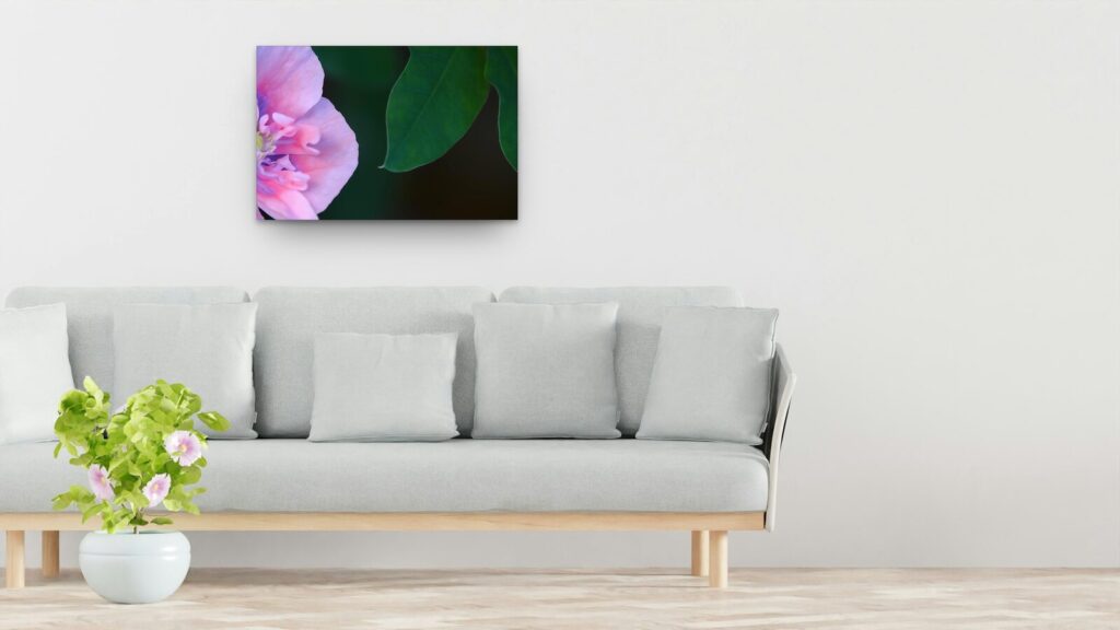 Tableau fleur rose et feuilles vertes sur fond sombre Tableau fleur rose et feuilles vertes sur fond sombre