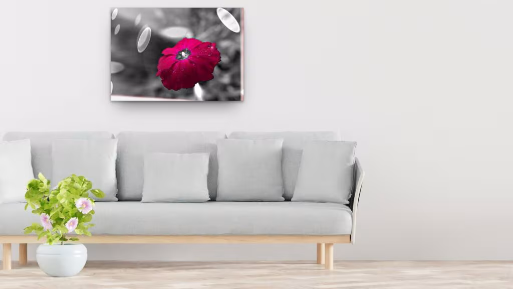 Tableau fleur rose framboise sur fond noir et blanc Tableau fleur rose framboise sur fond noir et blanc