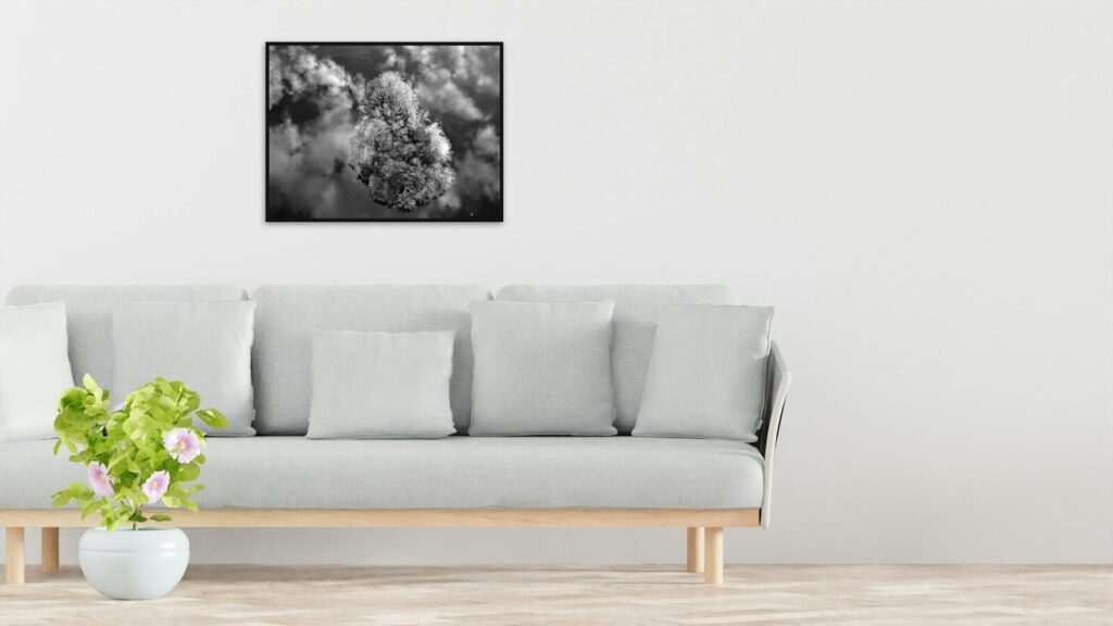 Îlot boisé vu du ciel en noir et blanc, toile ou affiche encadrée