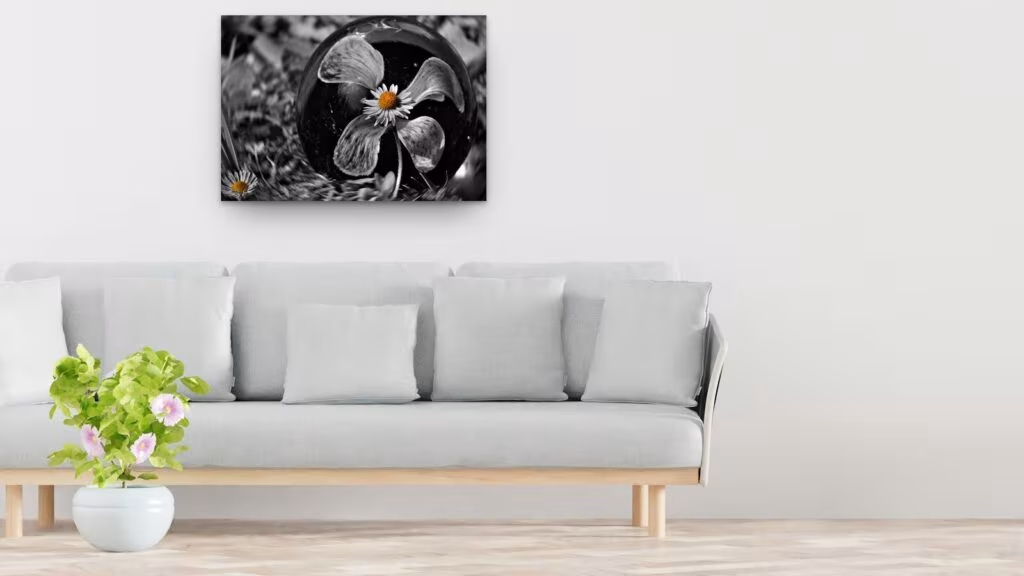 Une harmonie ressentie, tableau marguerite en noir et blanc